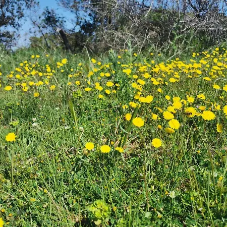 Guesthouse Stivan Cres