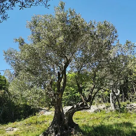 Appartamento Guesthouse Stivan *