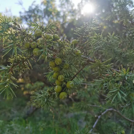 Appartamento Guesthouse Stivan *